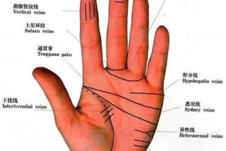 财运线是哪一条？财运线算命图解
