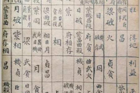 高级紫薇斗数书