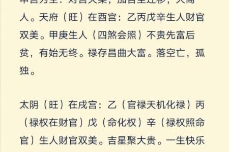 紫薇斗数一等命盘