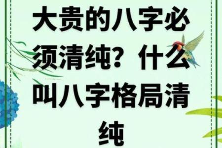 适合自己创业的八字