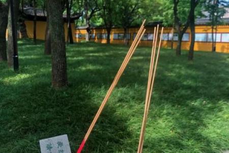 苏州西园寺罗汉灵签解签一览表