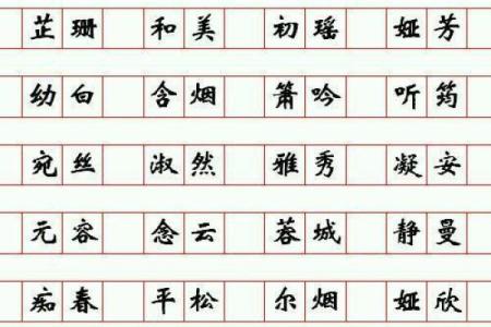1月份出生的属猪男孩起什么名字好姓名
