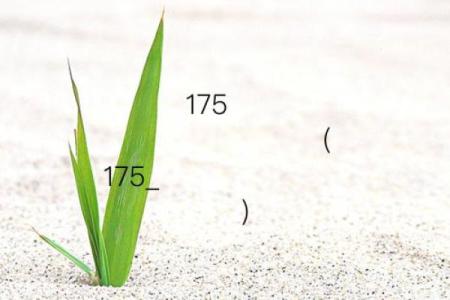 观音灵签29求升学