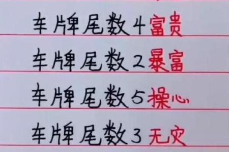 车牌吉凶查询打分测试免费 尾数为9的车牌号好不好