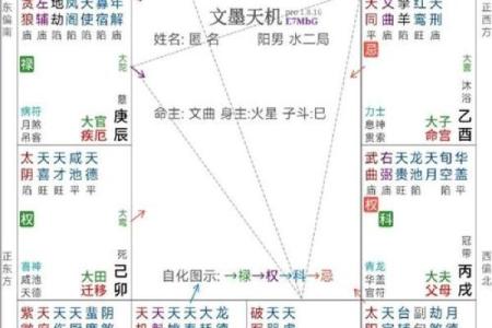紫微斗数之：论疾厄