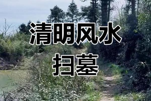 清明节扫墓需要注意的风水事项 清明节扫墓需要注意的风水事项