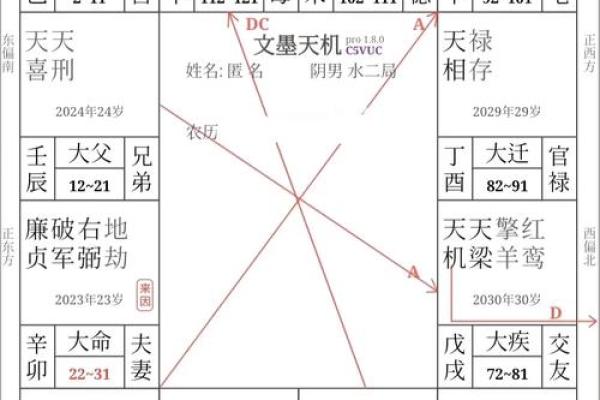 紫薇斗数看胸围 紫薇斗数看胸围