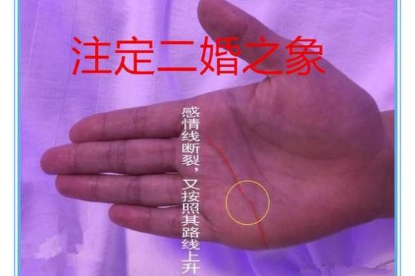 看相算命大全图解婚姻 看相算命大全图解婚姻