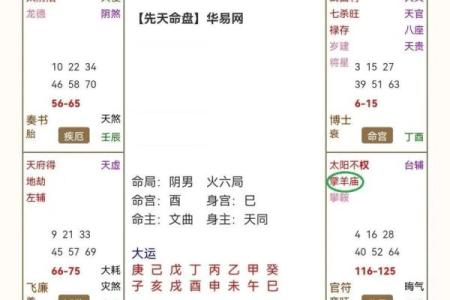紫薇斗数凶格局