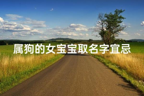 半夜出生的属狗男孩怎么取名,宜用什么字姓名 半夜出生的属狗男孩怎么取名,宜用什么字姓名