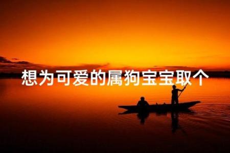 半夜出生的属狗男孩怎么取名,宜用什么字姓名