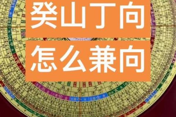 立丁山桂风水 立丁山桂风水