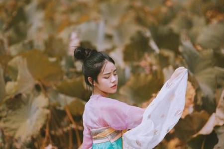 远天愁雁灵签问婚缘