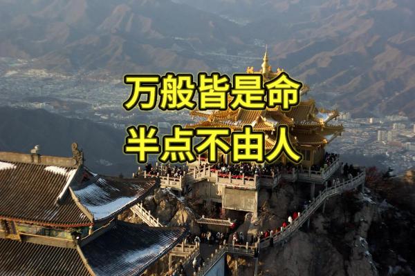 算命说后半世会怎样 算命说后半世会怎样