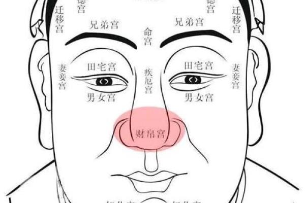面相算命鼻子 面相算命鼻子