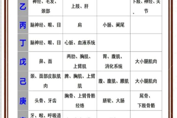 八字从什么地方能看出做官 八字从什么地方能看出做官
