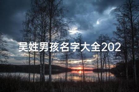 晚上10点出生的属鸡男孩用什么字取名字合适姓名