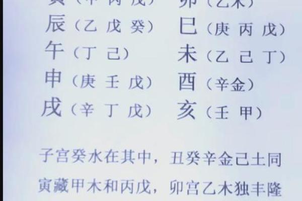 四柱八字中地支藏干如何运用 四柱八字中地支藏干如何运用
