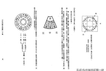 王亭之紫微斗数录音 免费查王亭之紫微斗数排盘?