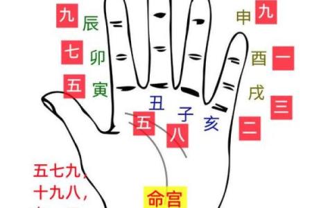 一分钟看懂八字排盘,八字排盘出来怎么解读