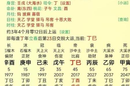 八字人格