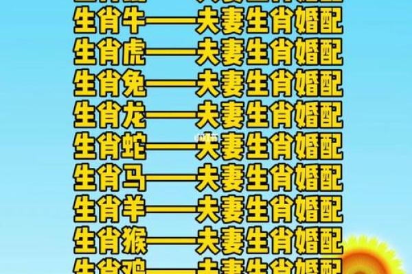 合八字属鼠男与属兔女适合做夫妻吗 婚配好吗