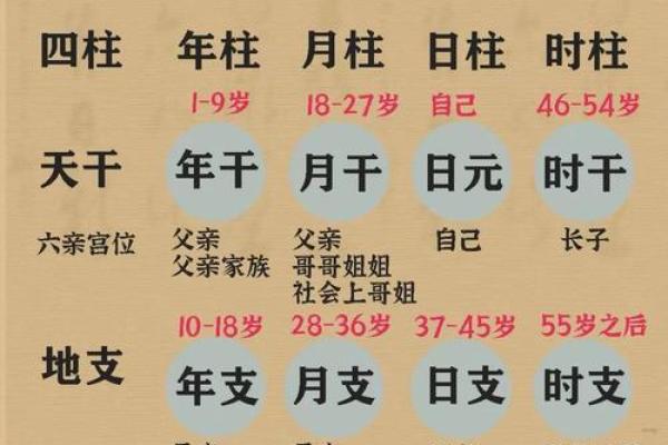 八字胎元命宫 八字胎元命宫