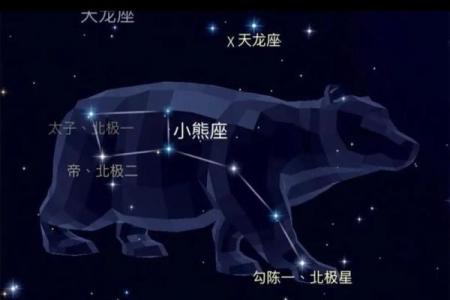 紫薇星北极星是什么龙