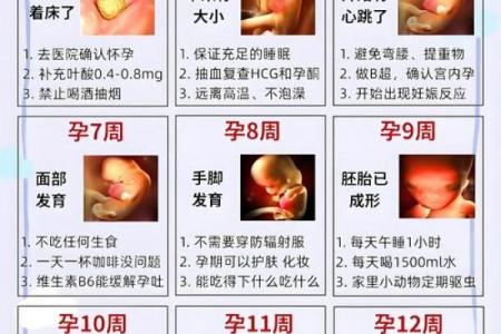 算命上女子怀孕怎么算