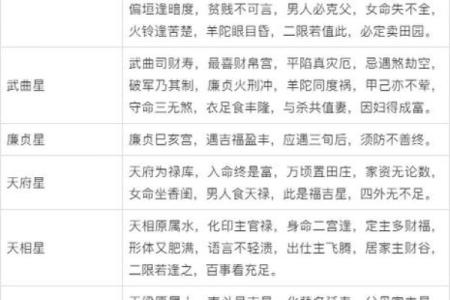 紫微斗数命盘解析:十二宫位