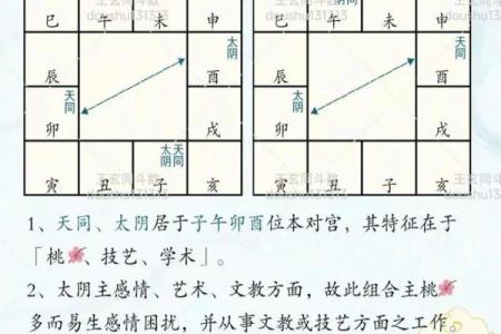 紫薇斗数太阴视频