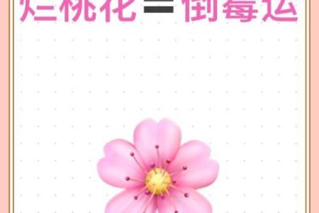 异性缘极重的八字从不缺桃花，要及时斩烂桃花