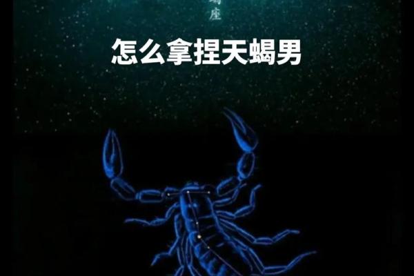 天蝎座适合啥星座 天蝎座适合啥星座