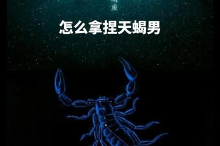 天蝎座适合啥星座