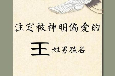 王姓男孩名字大全-王姓男孩起名字大全-王姓名字大全姓名