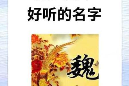 魏姓女孩名字大全-魏姓女孩起名字大全-魏姓名字大全姓名