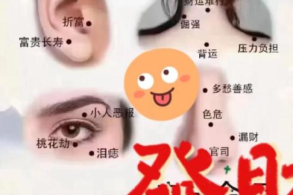 面相风水泪堂痣的寓意是什么命运