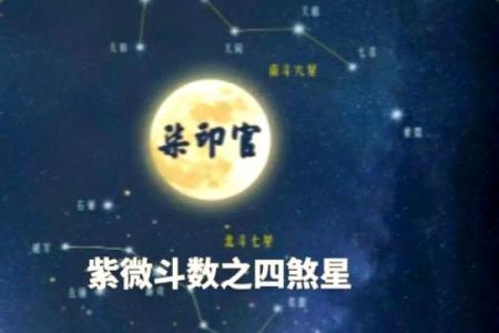 紫微斗数陀螺在戊寅 紫微陀螺星?