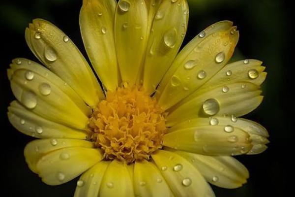 烧蛋算命怎么解释