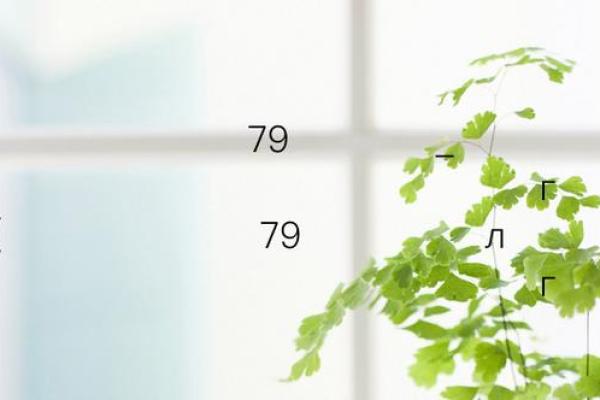 黄大仙灵签79 黄大仙灵签79