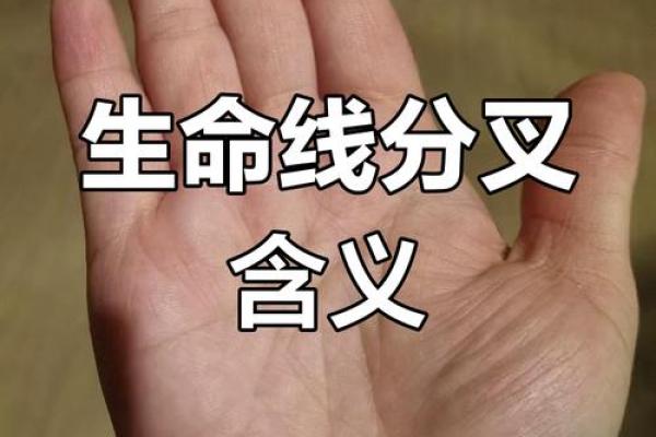 风水手相怎么看生命线断开是什么意思 风水手相怎么看生命线断开是什么意思