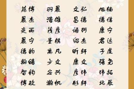 2019年5月31号子时出生的男孩应该起什么样的名字姓名