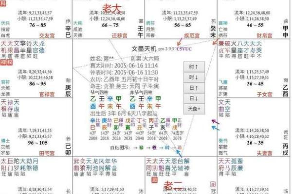 紫薇斗数累世报应格的简单介绍