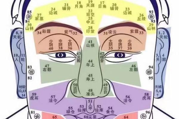 面部衰老八字图