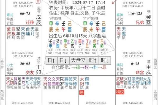 紫微斗数之子女宫与诸星，太阳星在子女宫是什么意思？