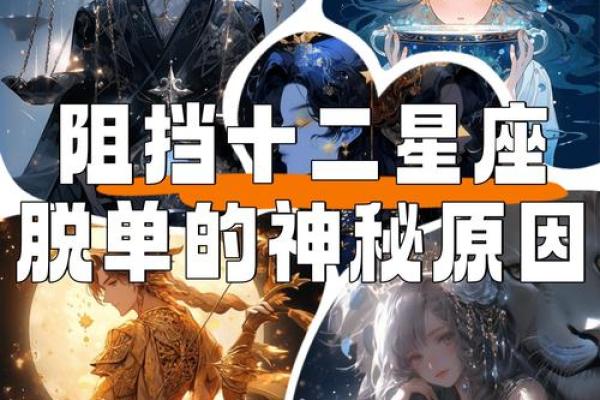 十二星座“摆地摊”解忧秘籍！