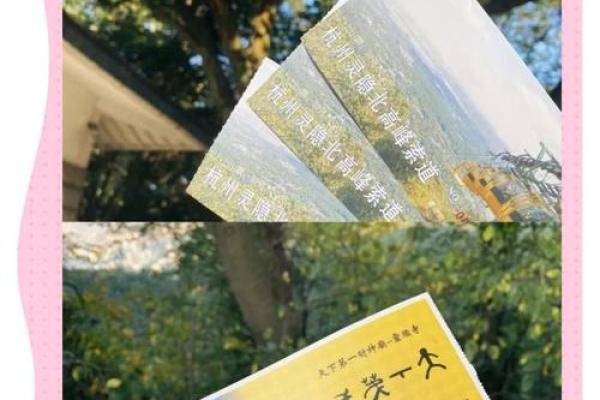 杭州灵顺寺解签七十八签