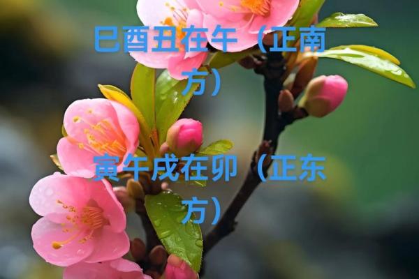 八字桃花多 八字桃花多