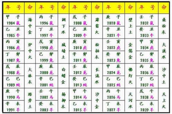 八字纳音五行解析