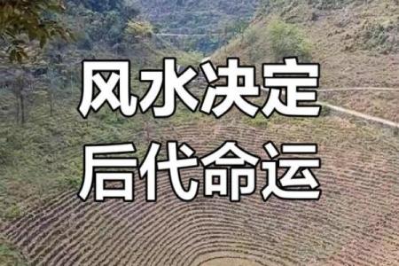 墓地风水会影响子孙后代